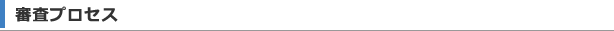 審査プロセス