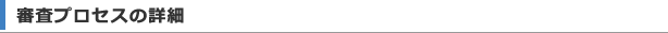 審査プロセスの詳細