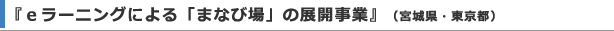 『ｅラーニングによる「まなび場」の展開事業』（宮城県・東京都）